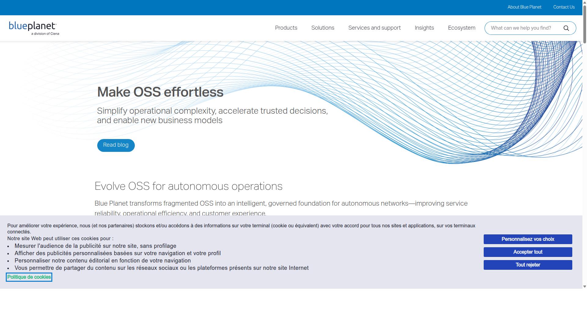 Ciena Blue Planet website